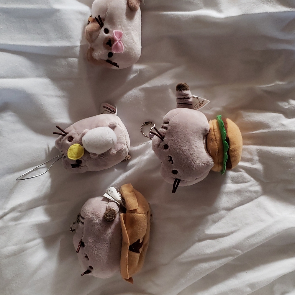 Pusheen cat Keychains & ornament.
